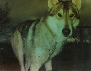 Damien, in the flesh.