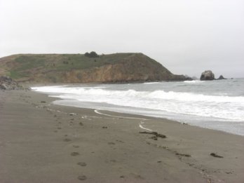 Photo Credit: Gonzalez