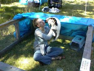 Coral with Fonzie at Ohio Skunkfest