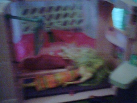 Screen Shot 2015-01-23 at 12.20.33 PM