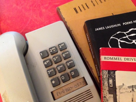 photo credit: Trudi Taylor