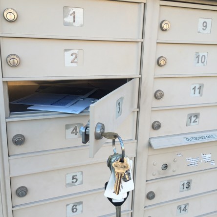 Photo credit: Tim Miller