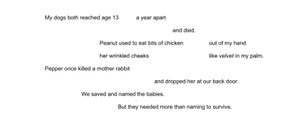 Screen Shot 2016-02-09 at 7.46.09 PM