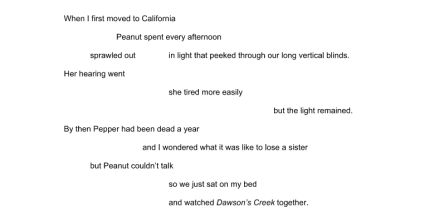 Screen Shot 2016-02-09 at 7.48.01 PM