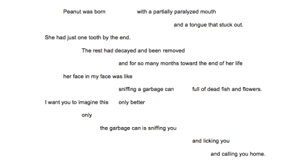 Screen Shot 2016-02-09 at 7.52.23 PM